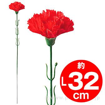 カーネーション(中)画像