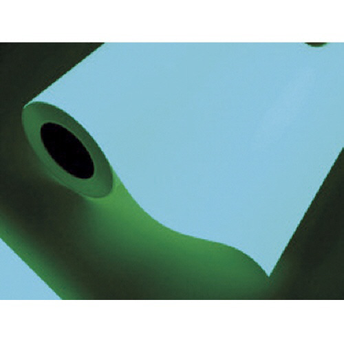 中川ｹﾐｶﾙ 蓄光ﾙｰﾅｼｰﾄ25mm幅×10m 1巻画像