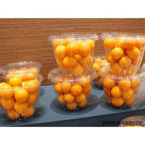 サラダ容器 33ozサラダ 本体 パックスタイル 透明な容器に盛り付けられた新鮮なサラダの様子