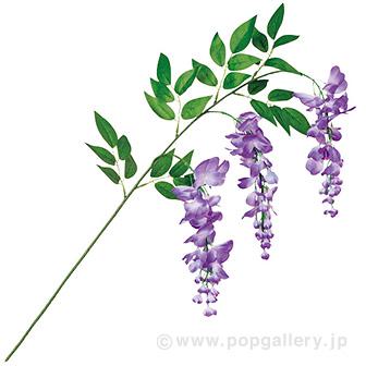 藤スプレー（3輪）パープル画像