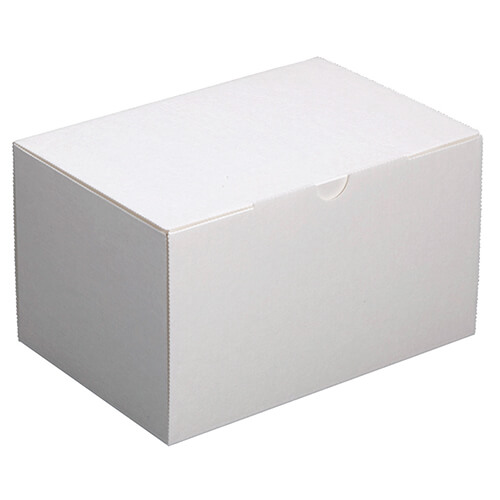 エコ洋生１０５＃６画像