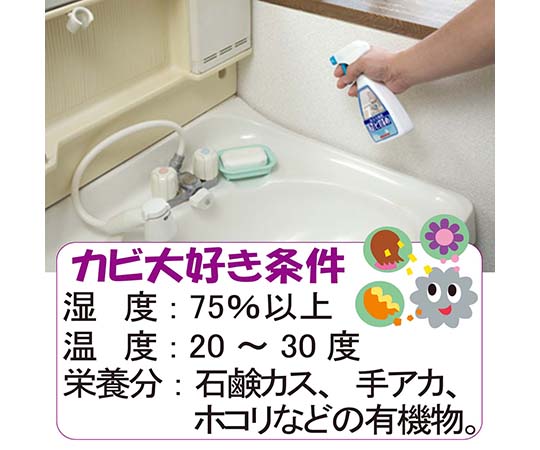 浴室・洗面所用カビ止め　250mL 透明な容器に入った液体、白いラベルに青い文字が目立つデザイン