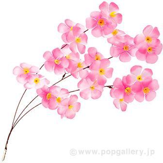 ミニ大桜シダレ（クリップタイプ）