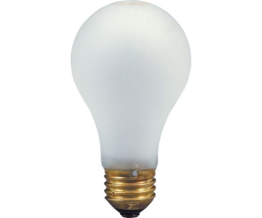 防滴電球60W　（CWS型用）画像