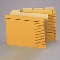 ｶｯﾄﾌｫﾙﾀﾞｰ B5判 1ﾊﾟｯｸ(20冊)画像