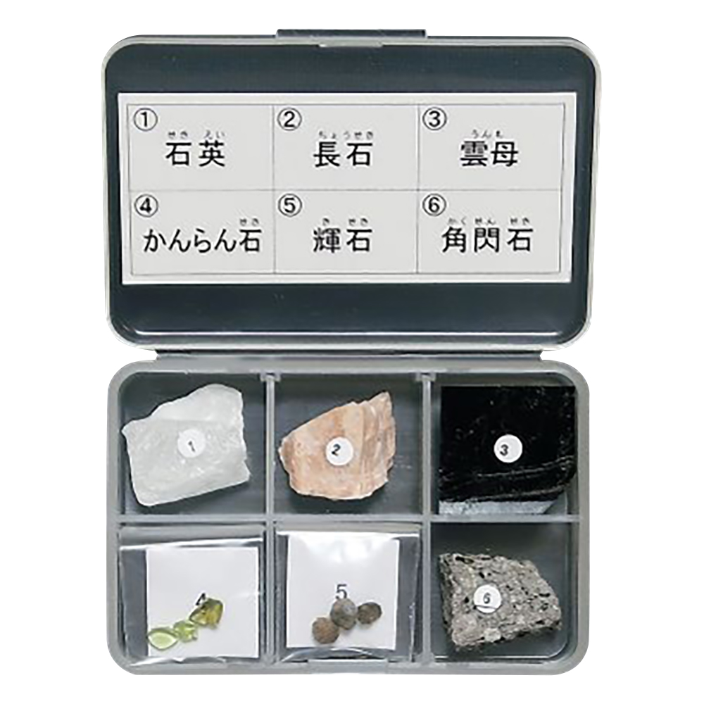 岩石標本（岩石標本造岩鉱物6種）画像