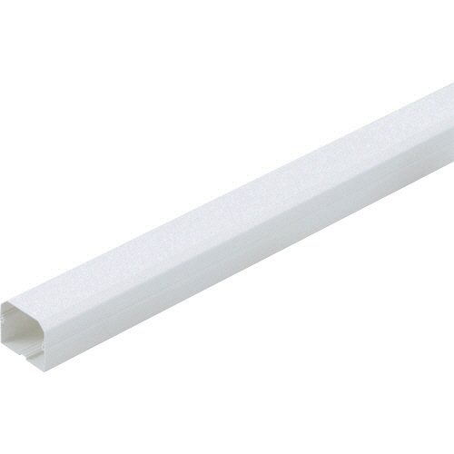 ﾏﾝｼｮﾝﾀﾞｸﾄ 1本画像