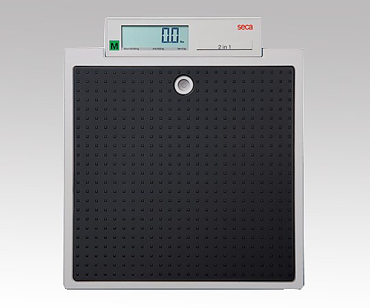 デジタルフラットスケール［検定付］4級画像