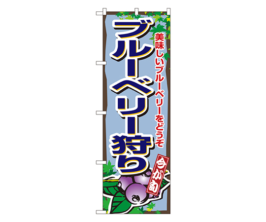 ブルーベリー狩り のぼり画像