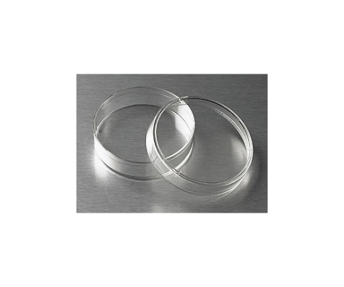 ディッシュ無処理 60mm 1ケース（20個×25パック入）画像