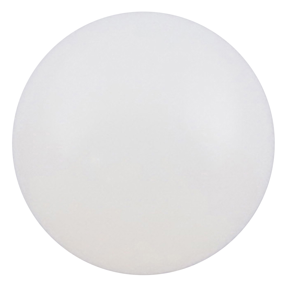 ナイロン球　φ6.4mm　50個入画像