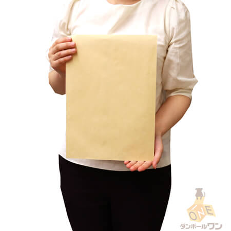 角2（A4用紙大きめ）サイズの封筒