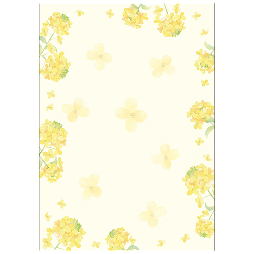OA対応和柄用紙 和ごころ A4判 菜の花 1ｾｯﾄ(50枚:10枚×5冊)画像