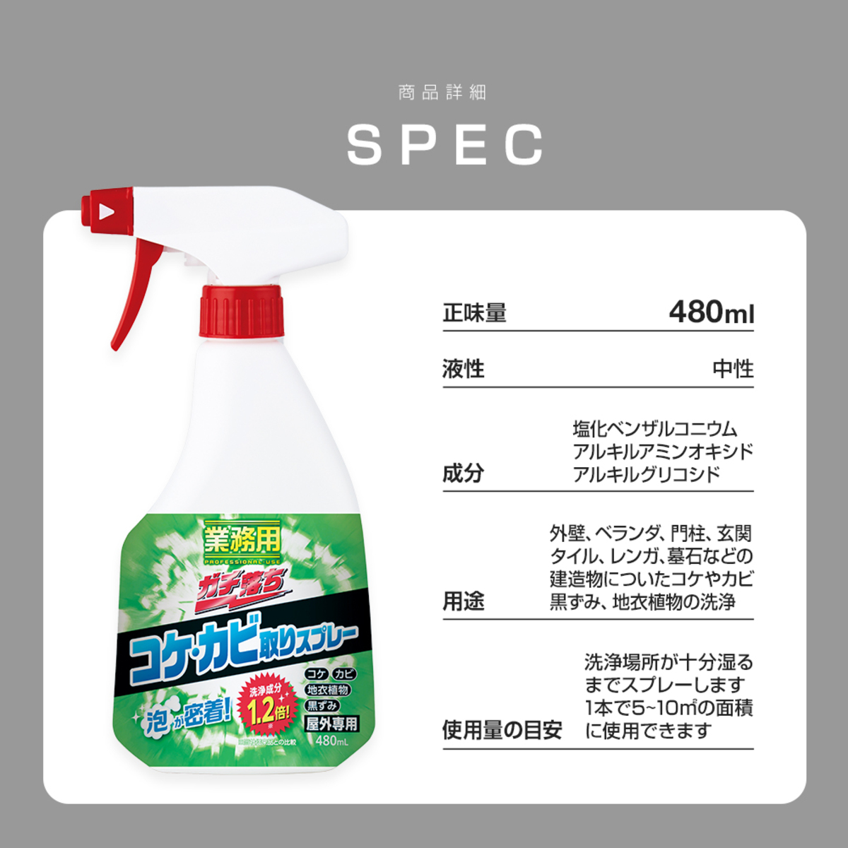 洗剤　業務用ガチ落ちコケ・カビ取り　1009905 パッケージ全体が見える角度で撮影された状態