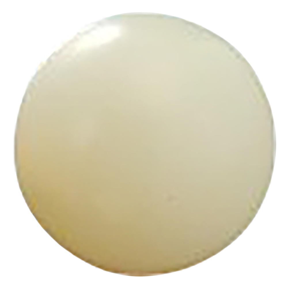 ナイロン球　φ22.2mm　10個入画像