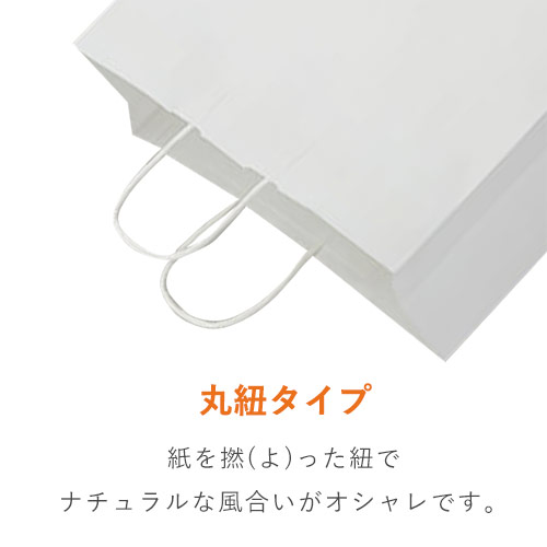 ギフト用や持ち帰りに！同シリーズ最大丈の大型手提げ紙袋