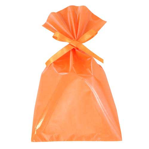 ソフトバッグクリア 2穴リボン巾着 S5 オレンジ画像