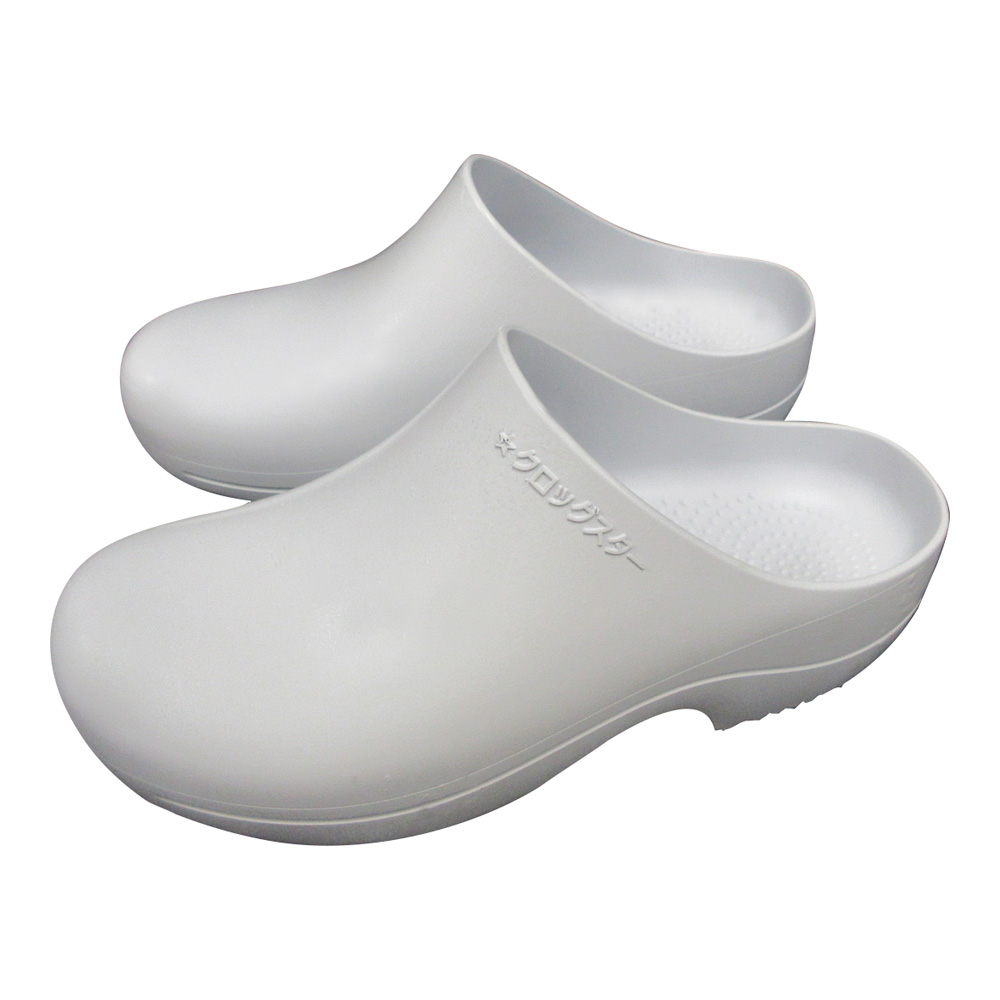 オートクレーブ対応クロッグ(クロッグスター) 22.0cm画像