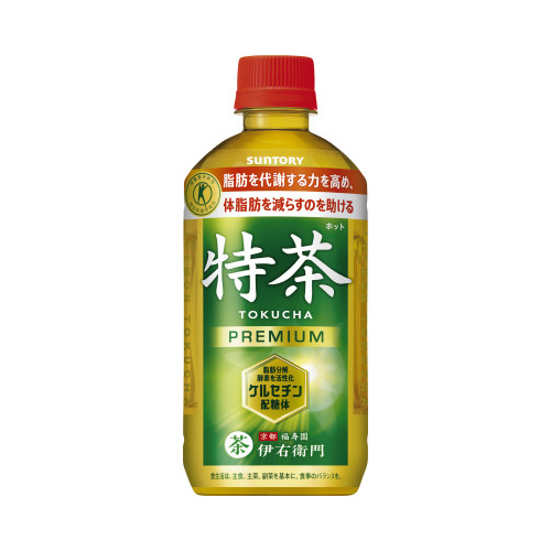 ホット伊右衛門　特茶　５００ｍｌ　２４本画像