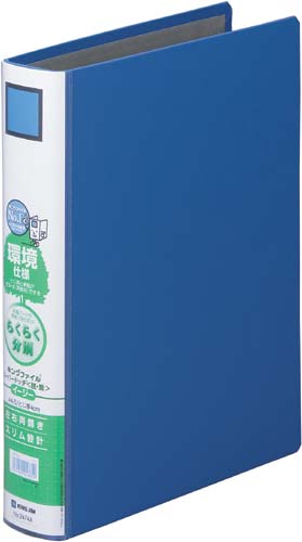 キングＦＳＤＤＥ青Ａ４縦背幅５６ｍｍ１０－２９冊画像