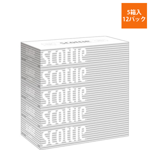 スコッティ　ティシュー　200組　5箱×12画像