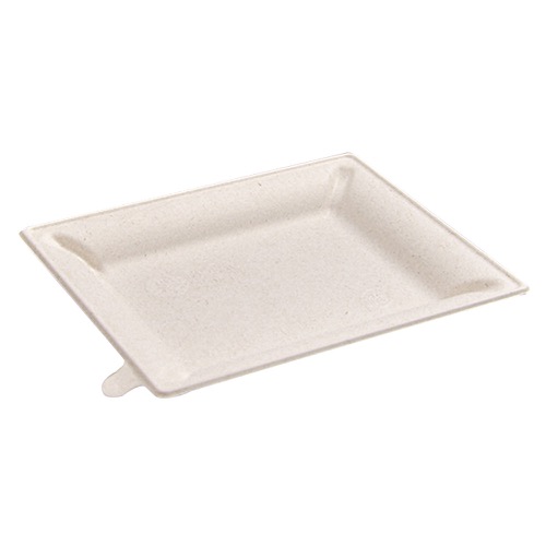 パックスタイル バガス容器 WBプレート 20-17画像