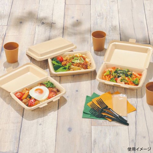 弁当容器 紙デリ フード 22-16 エフピコチューパ 上面から見たパッケージ、蓋がしっかりと閉じられた状態