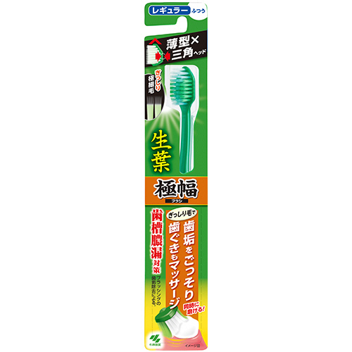 生葉 極幅ﾌﾞﾗｼ ﾚｷﾞｭﾗｰ ふつう 1本画像