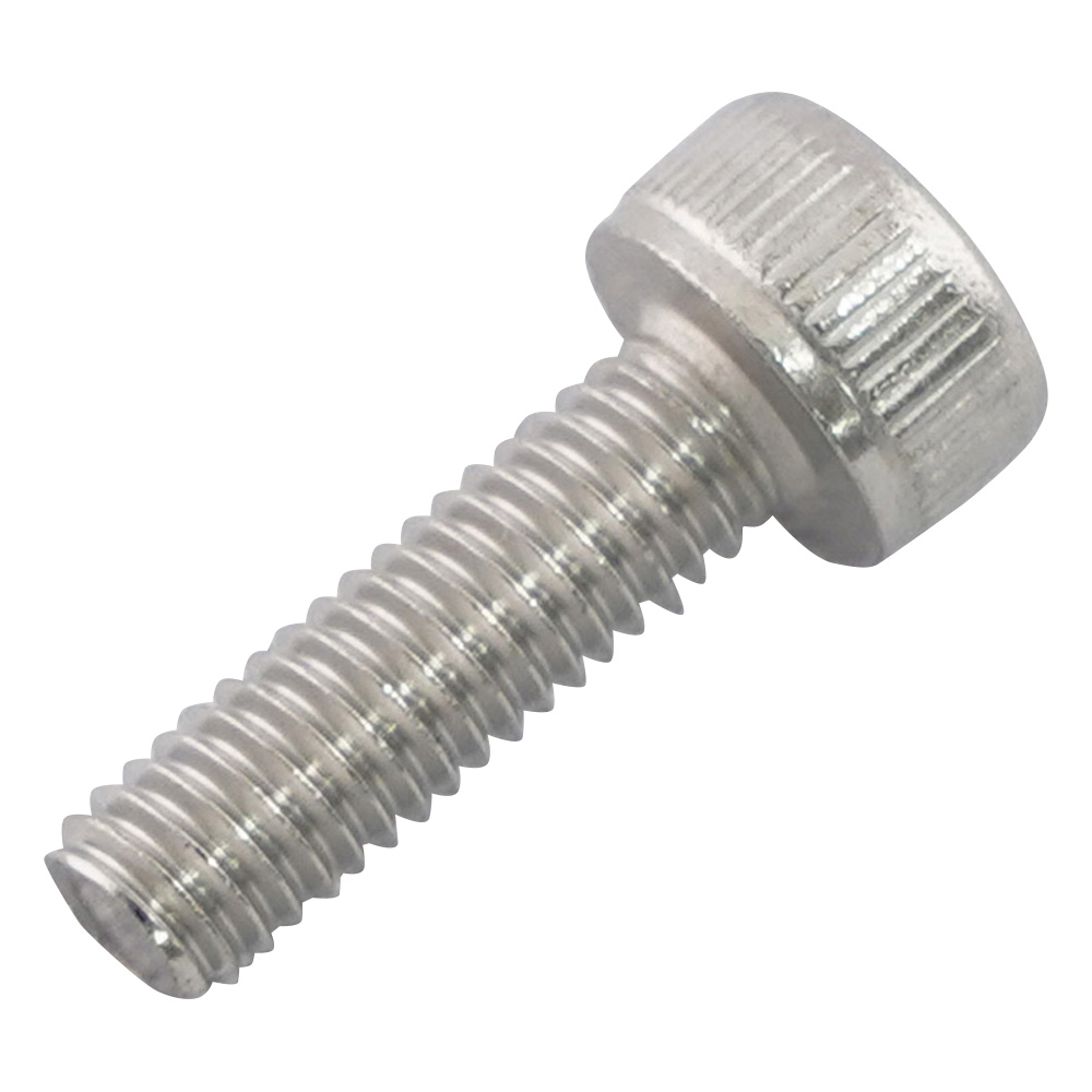 六角穴付きボルト　ステンレス　100本入