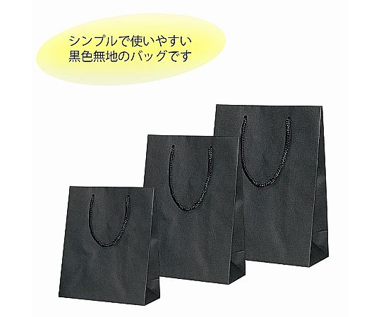HEIKO 手提袋 Kバッグ T-3 黒 10枚 黒い手提袋が平置きされ、底面が見える状態