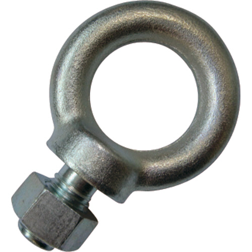 NANIWA ｱｲﾎﾞﾙﾄ 三価ｸﾛﾒｰﾄ M10 1個画像