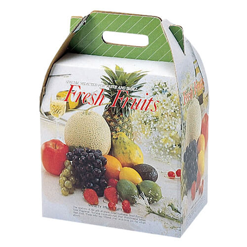 ニューキャリー（大）画像