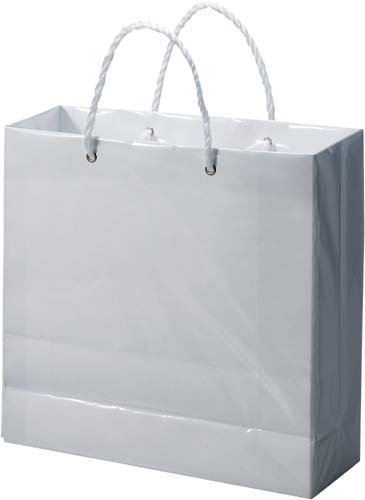 白無地ビニールカバーバッグ　小　１０枚×５画像