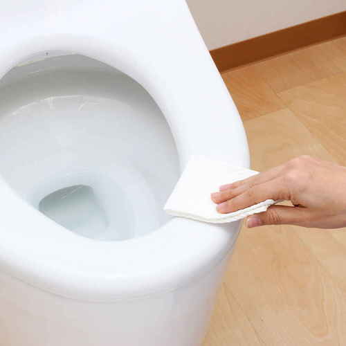 激落ち 流せる除菌トイレクリーナー 24枚入 商品の表面が正面から見える状態で、パッケージのデザインと内容量が明瞭に表示されている。