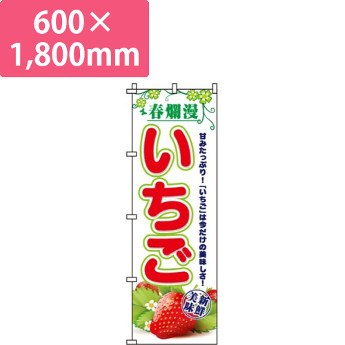 春爛漫いちご画像