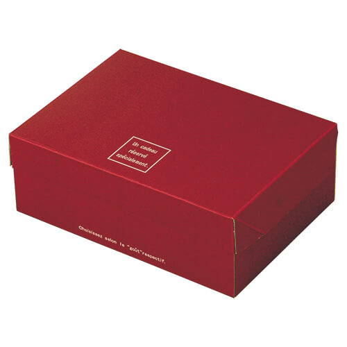 ボンデガトー大エンジ画像