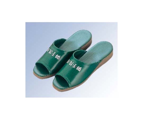 御手洗用 スリッパ SS-106TL(茶厚底)グリーン(010)画像