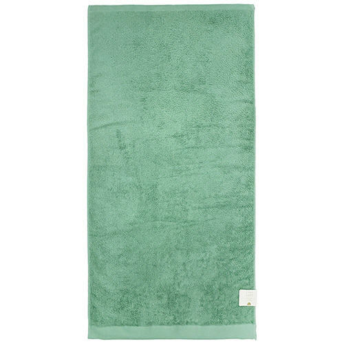 ﾊﾞｽﾀｵﾙ ﾃｯｸｶﾗｰ ｸﾞﾘｰﾝ 1枚画像