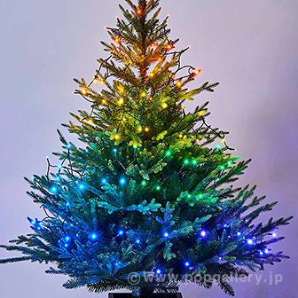 LEDレインボーグラデーションライト（グリーンコード）画像