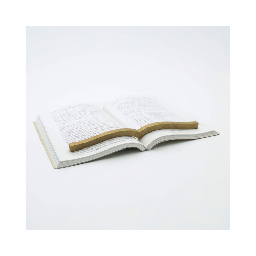 本に寄り添う文鎮（真鍮製）画像