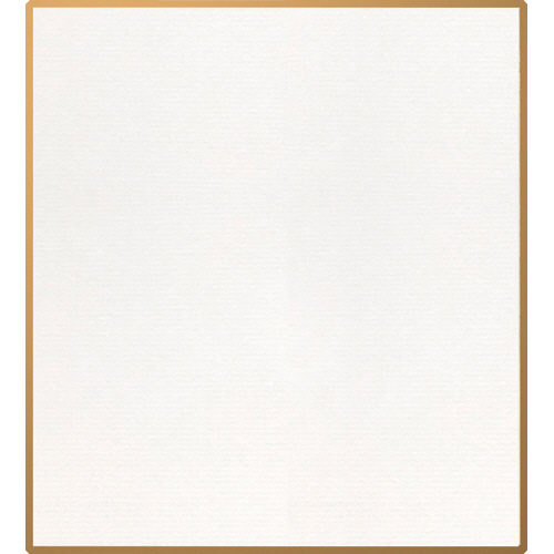 色紙 画仙紙 1/4 120×135mm 1枚画像