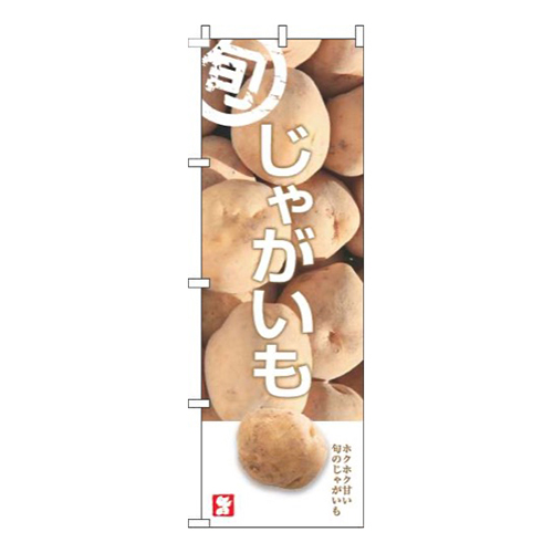 じゃがいも旬写真画像