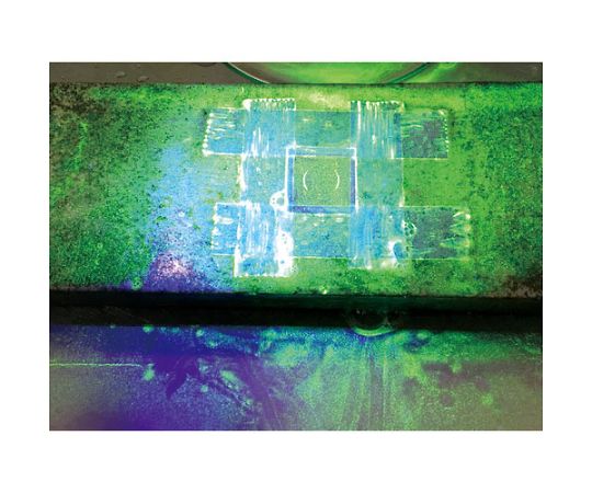 3WLED紫外線コードレスライトセット　充電器なし 明るい白色の筐体を持つ、小型の紫外線ライトが横向きで設置されている様子