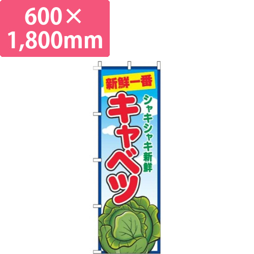 キャベツ青空丸画像