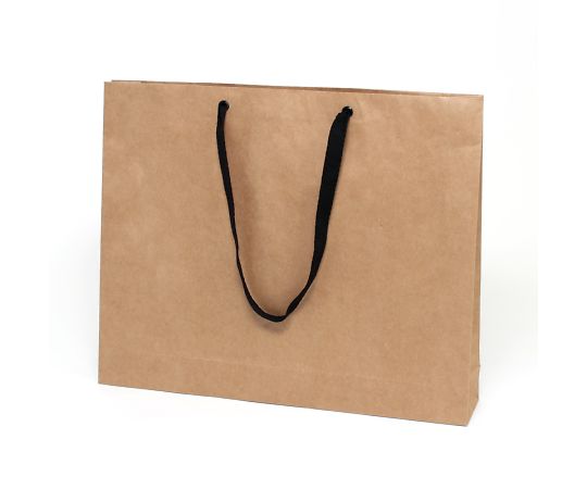 手提げ紙袋　ファッションバッグ　L　未晒無地　10枚画像