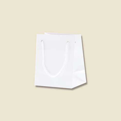 手提げ紙袋（白 ツヤあり・PP紐・幅100×マチ70×高さ120mm）画像