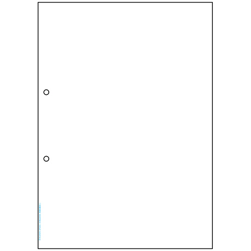 ﾏﾙﾁﾌﾟﾘﾝﾀ帳票 抗菌ﾀｲﾌﾟ A4 白紙 2穴 1冊(50枚)画像