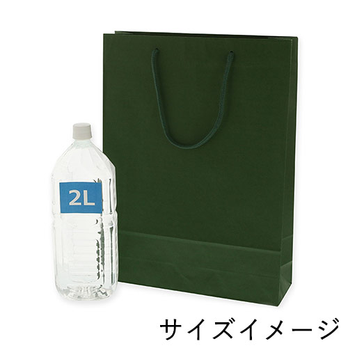 無地で使いやすい！グリーンで持ち手紐付きの大型ギフトバッグ