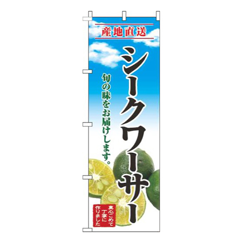 シークワーサー青空明画像