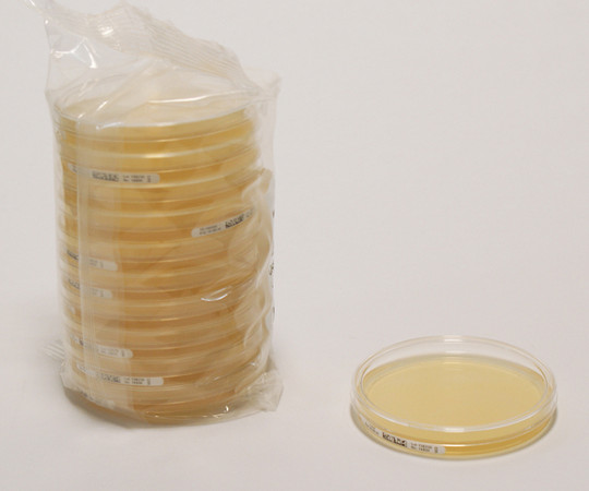 好気性微生物試験培地 サブローデキストロース寒天培地（クロラモフェニコール入） 30mL 1箱（120枚入）画像